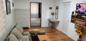 city center apartment 1
